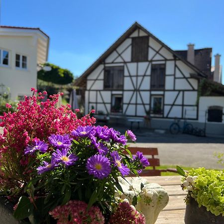 Cafe Canape, Wohlfuehlen Im Schoenen Hof Zwischen Ravensburg & Bodensee Bagian luar foto