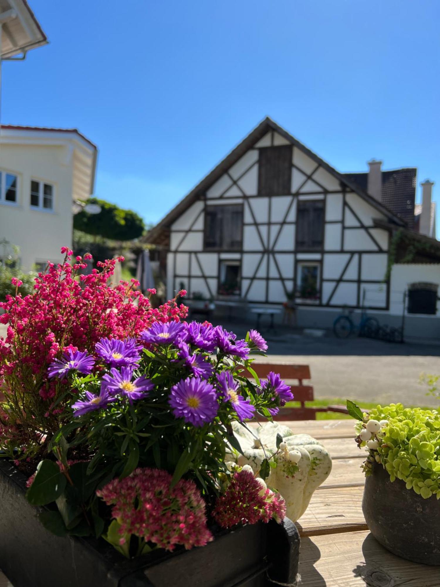 Cafe Canape, Wohlfuehlen Im Schoenen Hof Zwischen Ravensburg & Bodensee Bagian luar foto